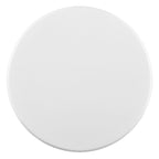 MAGNET COIN